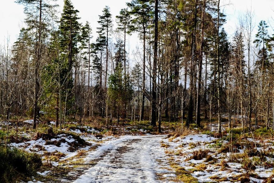 Mullsjö Marston Hill旅馆 外观 照片